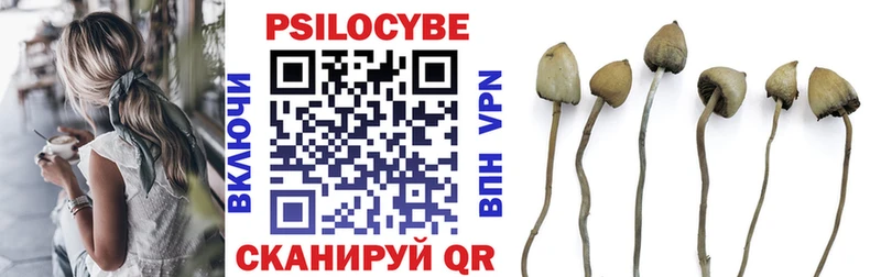 что такое   Куса  Псилоцибиновые грибы Psilocybine cubensis 